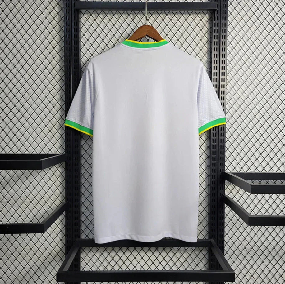 Brazil Parrot Jersey